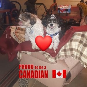 Meet your Posher, Gordon